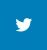 Condividi su Twitter